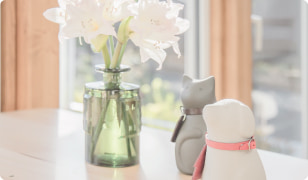 ペットの粉骨供養専門店 いとほし